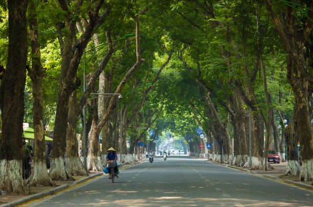 Mùa thu Hà Nội: Gìn giữ những không gian tinh thần của thành phố