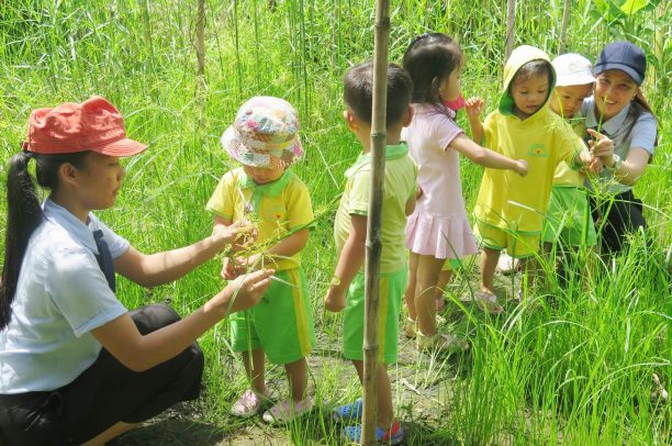 Bàn về giáo dục