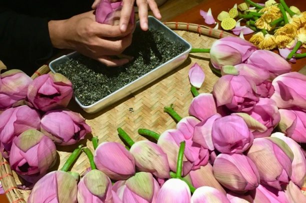 Văn hóa trà Việt Nam: Những người định danh trà Việt trên bản đồ trà thế giới (kỳ cuối)