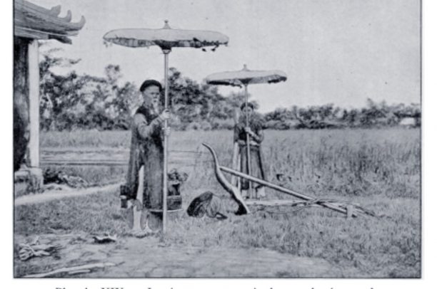 Tìm hiểu về ruộng Tịch điền và nghi lễ cày Tịch điền ở nước ta qua các triều đại phong kiến