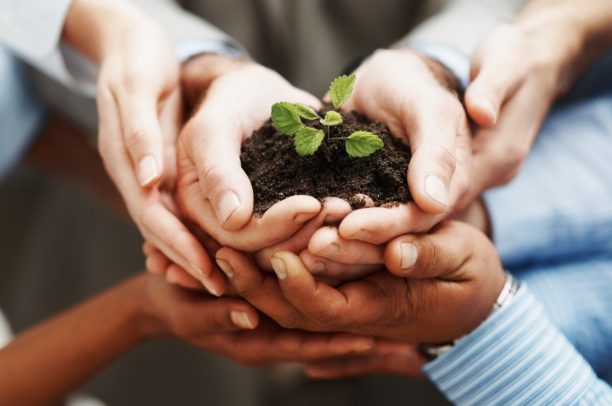 Hành trình từ Niềm tin chiến lược đến Thành tựu chiến lược