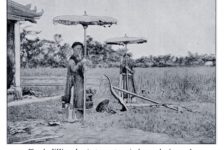 Tìm hiểu về ruộng Tịch điền và nghi lễ cày Tịch điền ở nước ta qua các triều đại phong kiến