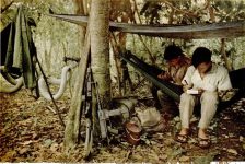 Việt Nam trên báo Mỹ: Nhà báo Nhật trở về sau 53 ngày bị giam trong căn cứ cách mạng miền Nam (Kỳ cuối)