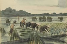 Hình ảnh nước trong dân ca và nghệ thuật biểu diễn Việt Nam